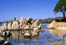 包含东契奇与30激战德国队分钟，领先优势明显胜负难料！，浓眉哥焦点对战赛场气氛高涨的词条